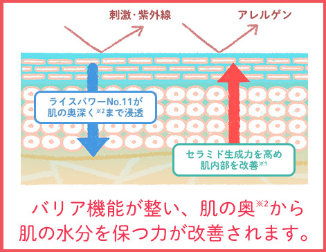 アトピスマイル ニキビ